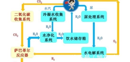 每日爆料黑料 平台采用简洁的信息流设计