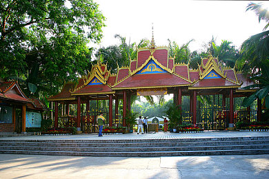 雏鸟短视频官网