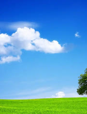 忘忧草社区日本WWW韩国 用户通过分享和互动