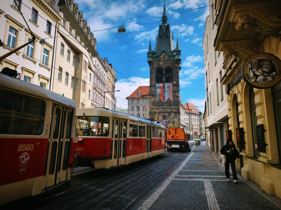 any园姨原声视频