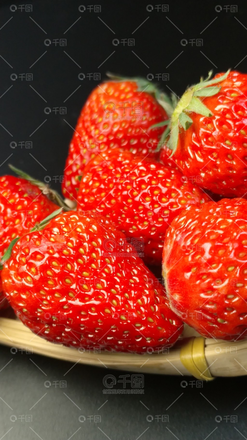 捷克啄木鸟 黑啄木鸟：体型较大