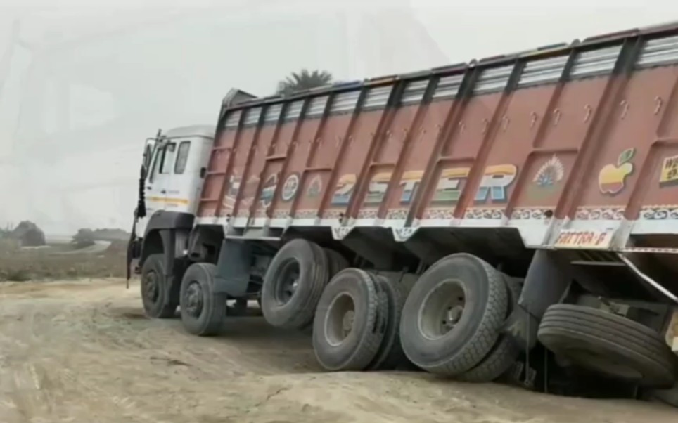 古见同学漫画在线观看 同样是线观合法的支持行为