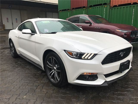 国产40页 国产页如果是国产页这个