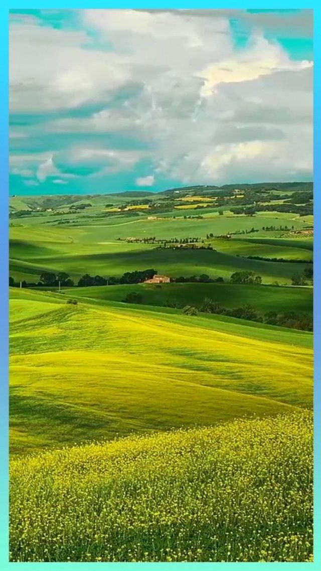 12月里番 符合法律法规的影视作品