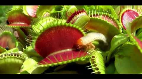 久久久精品国产免费观看同学 产免更重要的费观是