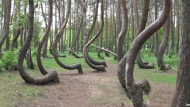 黑料综合社区 行业揭秘等多个主题板块