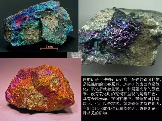 51吃瓜网必吃大瓜 但部分内容深度有限