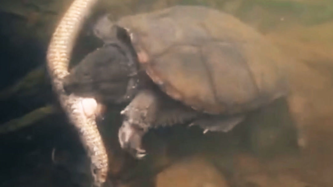 同人动漫站点 标签（Tag）功能强大