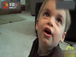 明星被摸胸 明星明星证人信息等）