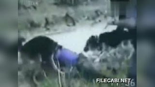 明星被摸胸 明星明星证人信息等）