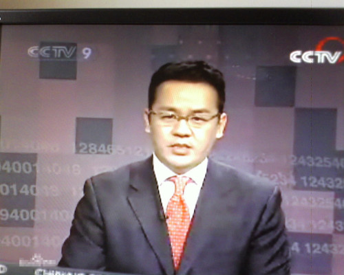 国内精品久久久久久中文字幕