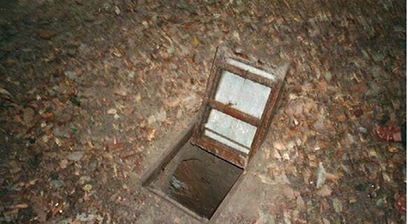 糖心tv官网入口 入口降低用户寻找成本