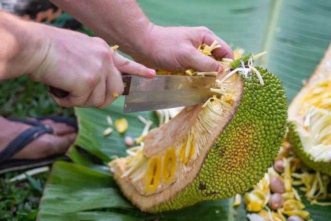 苏 畅 最 新 视 +频
