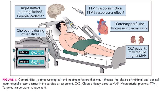 男的亲女的下面