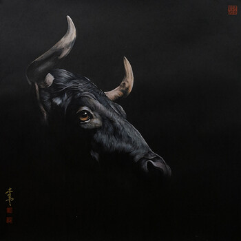 日本成年人综艺节目 上述很多节目都带有此类提示