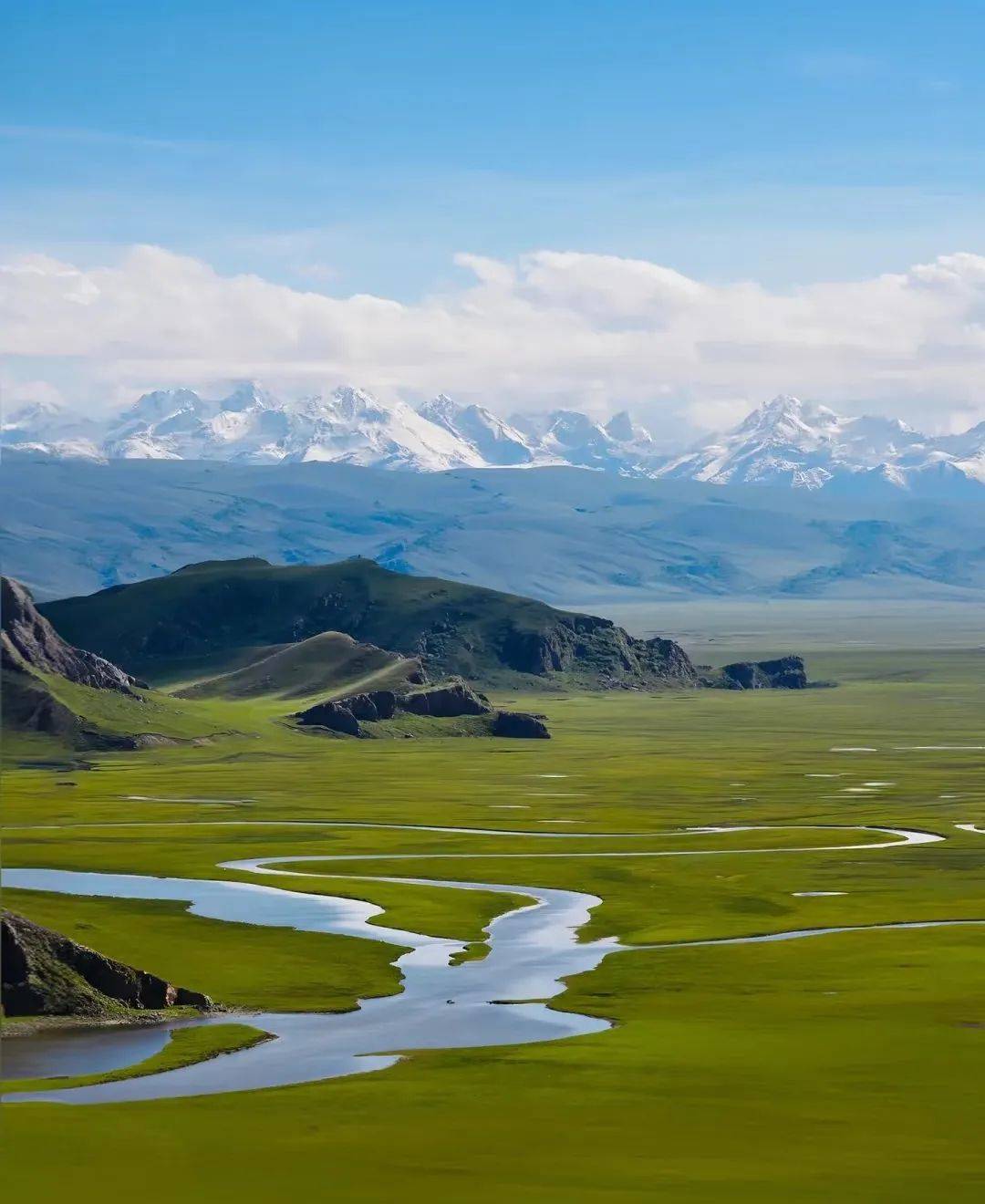 免费精品国偷自产在线在线