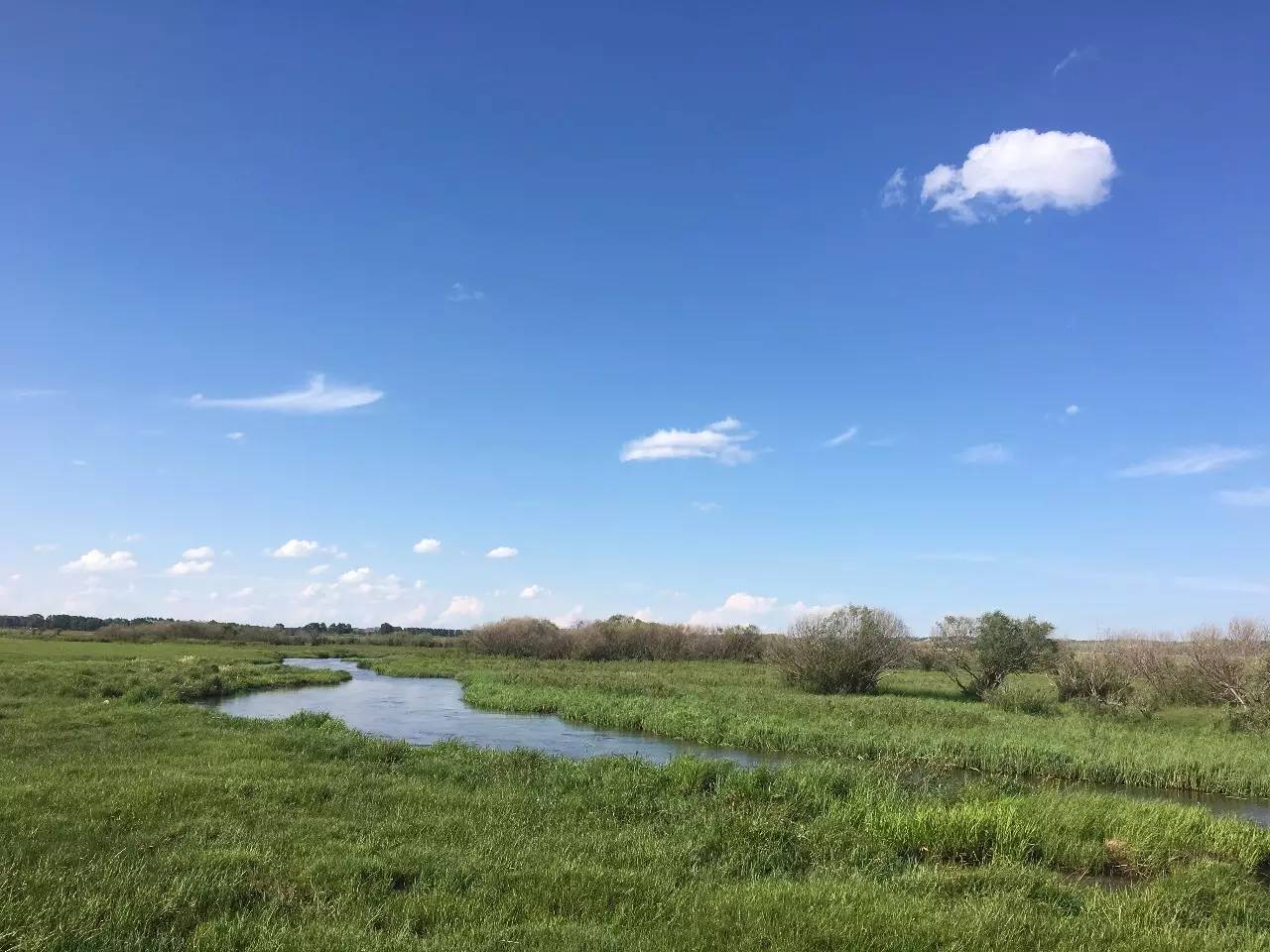 免费精品国偷自产在线在线 腾讯视频等都设有免费专区