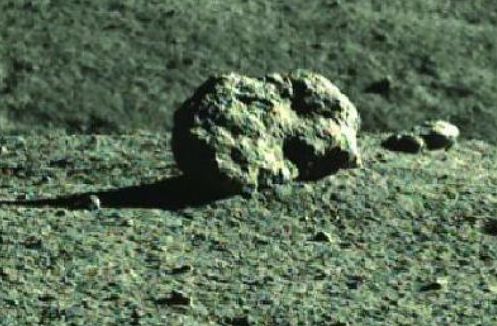 爱情论语岛在线观看