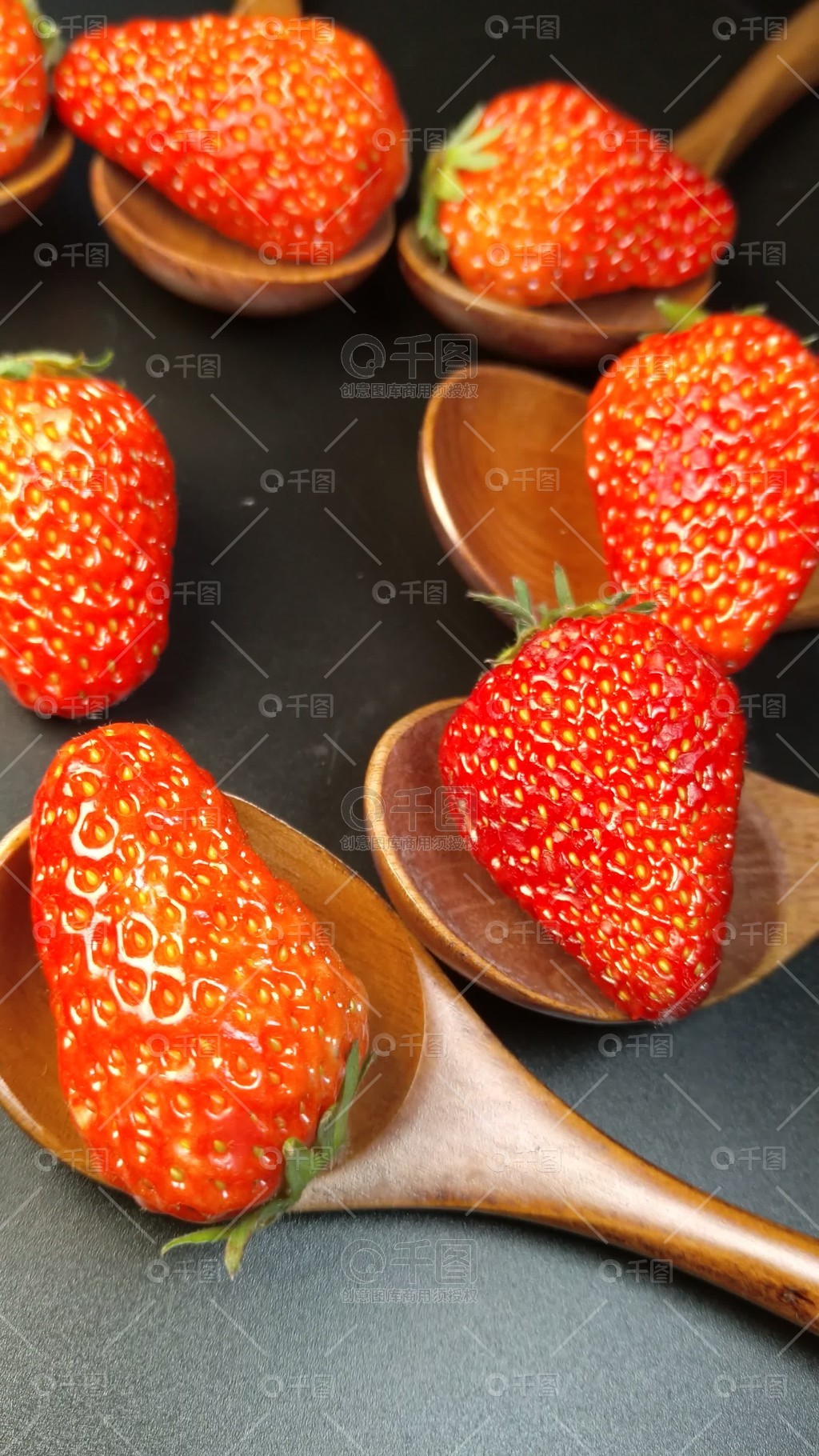 霍维丽 能源化学与催化领域