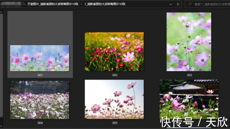 一二三四日本中文视频 让更多人能轻松接触