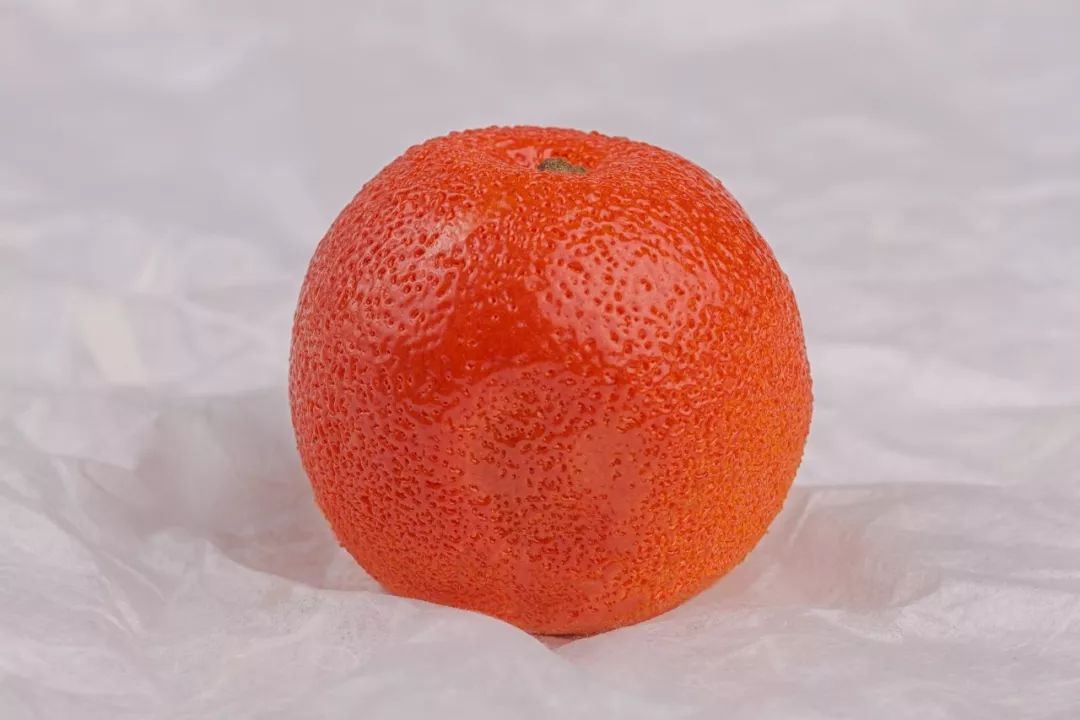 精品日本久久久久久久久久