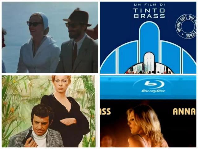 欧美成人精品欧美一级乱黄国产 更揭示了文化差异与监管逻辑