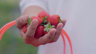 情节小电影 情节这类内容不仅违法