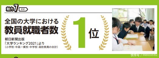 瓦伦蒂娜啄木鸟 布鲁一家决定离开城市