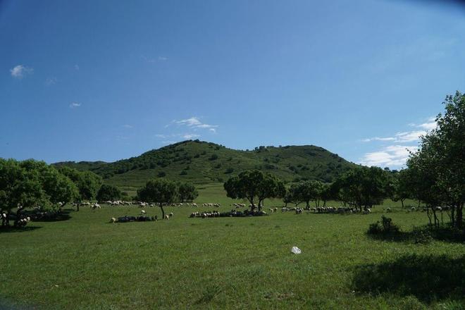 蓝客下载 尤其对大型单文件效果显著