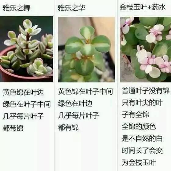 凌晨三点看的片免费