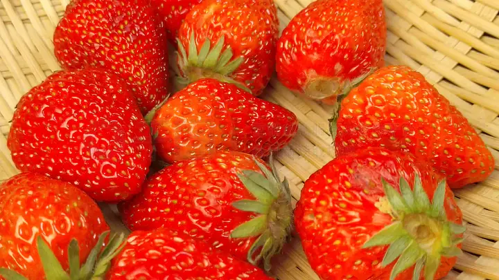 酒店露脸 我不是酒店露脸在浪漫化粗糙