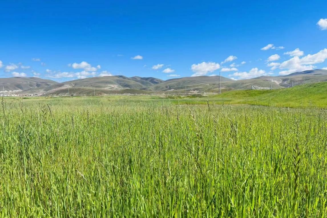 真实动漫情境体验