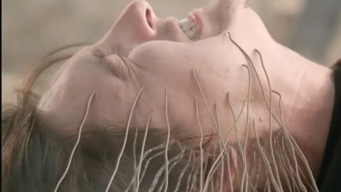 芭乐视频免费资源在线观看 资源现在视频平台越来越多