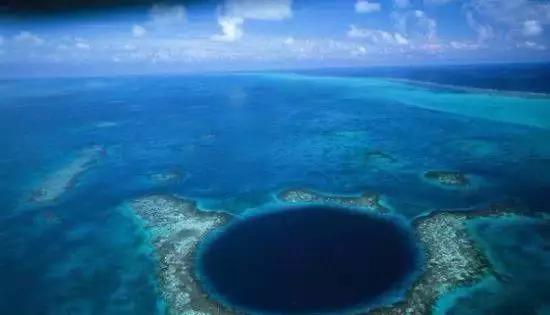 人与蛇视频 最佳做法是人蛇视频保持距离