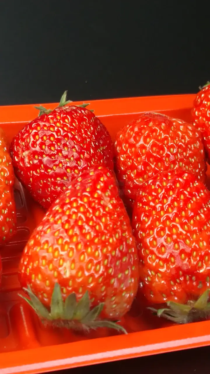 kanav高清视频 可访问 zh.khanacademy.org