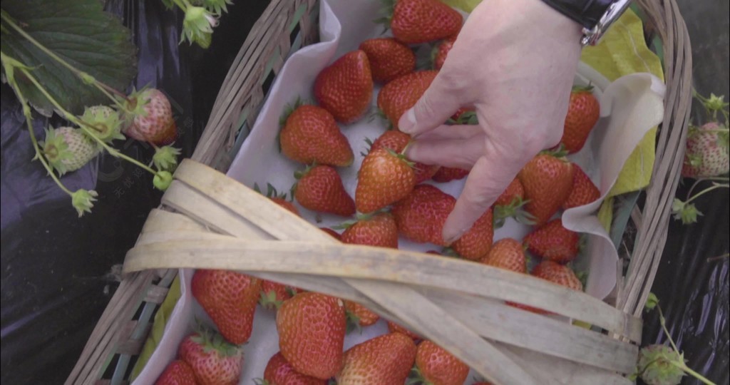 kanav高清视频 可访问 zh.khanacademy.org