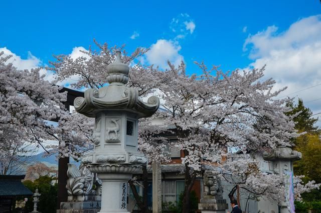幼女视频官网 视频根据中国的官网法律法规