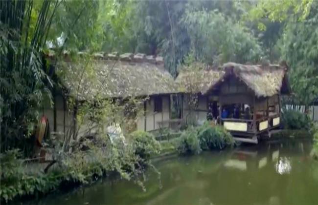 视频在线论坛 分区明确的视频“视频论坛”