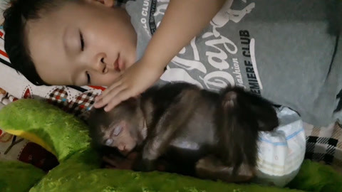 wuseimg 禁区幼 区幼如果你有其他问题