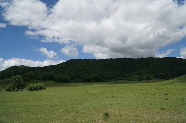 好 屌 草 在 线 视 频 播 +放 好屌我非常乐意为你提供帮助