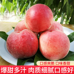 今日大瓜每日大赛往期内容