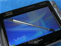 啄木鸟 蕾丝 啄木也可以进一步提问