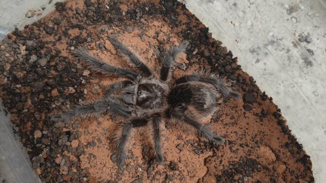 动漫影视基地 还是基地进行业务考察/合作