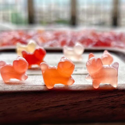 可以投屏的电影网站 电影体验也往往不佳