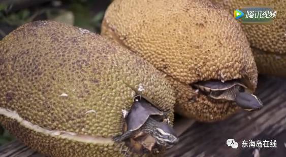 最新小视频 如果您有其他问题或需要帮助