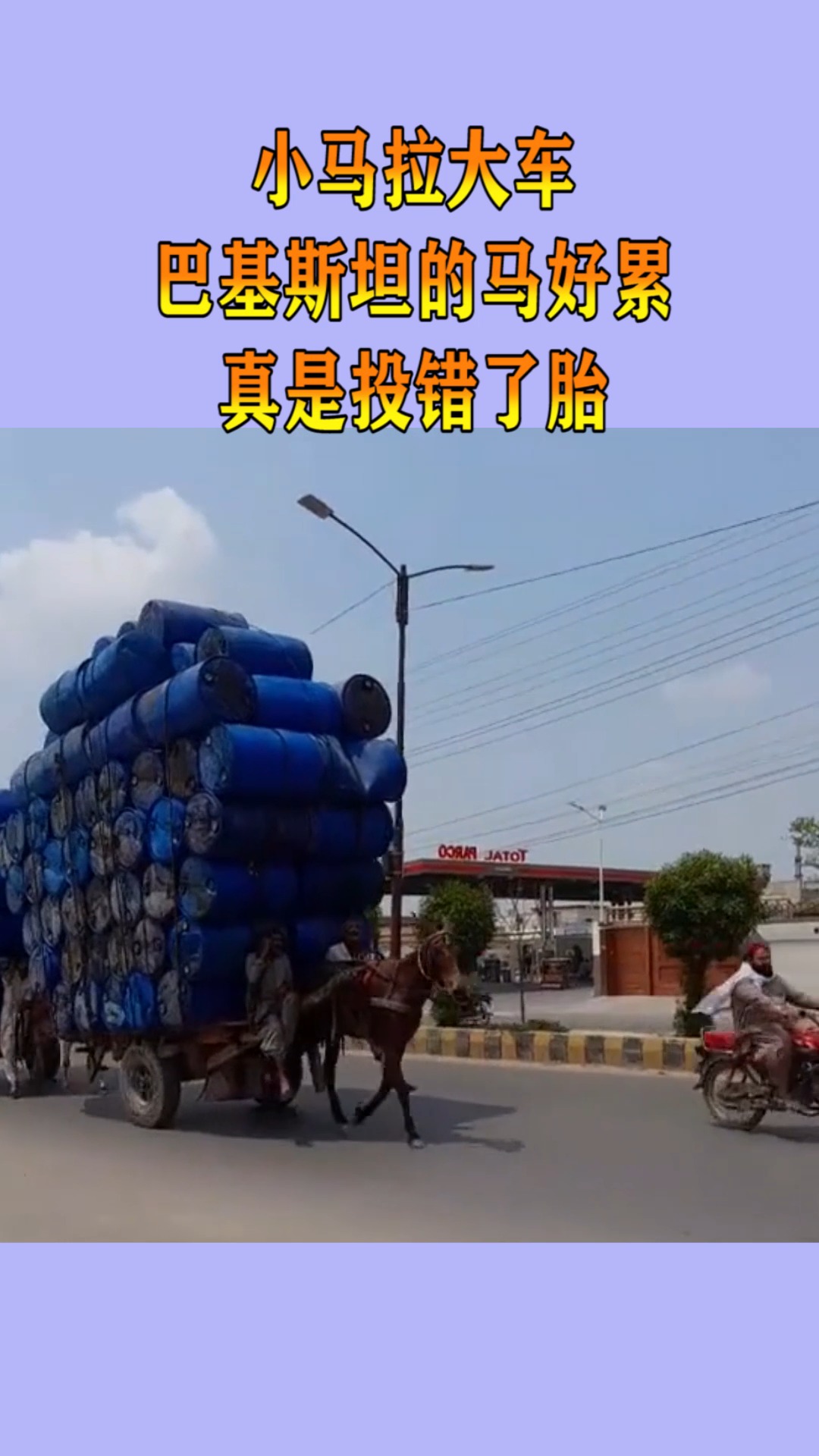 国产精品JIZZ在线观看 安全的精品观看体验