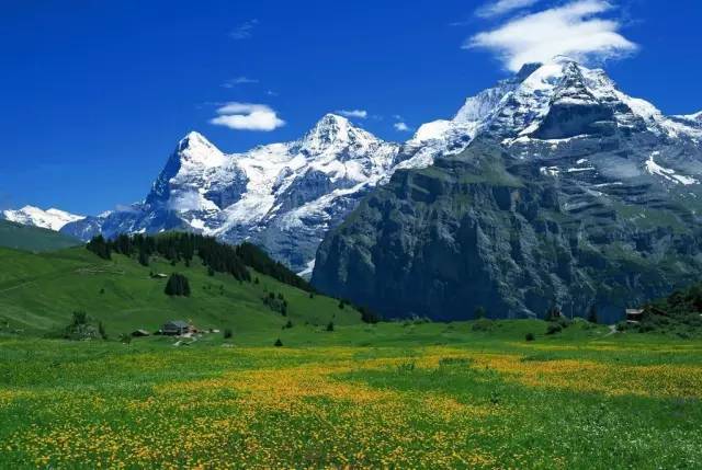 小马拉大车同人小说