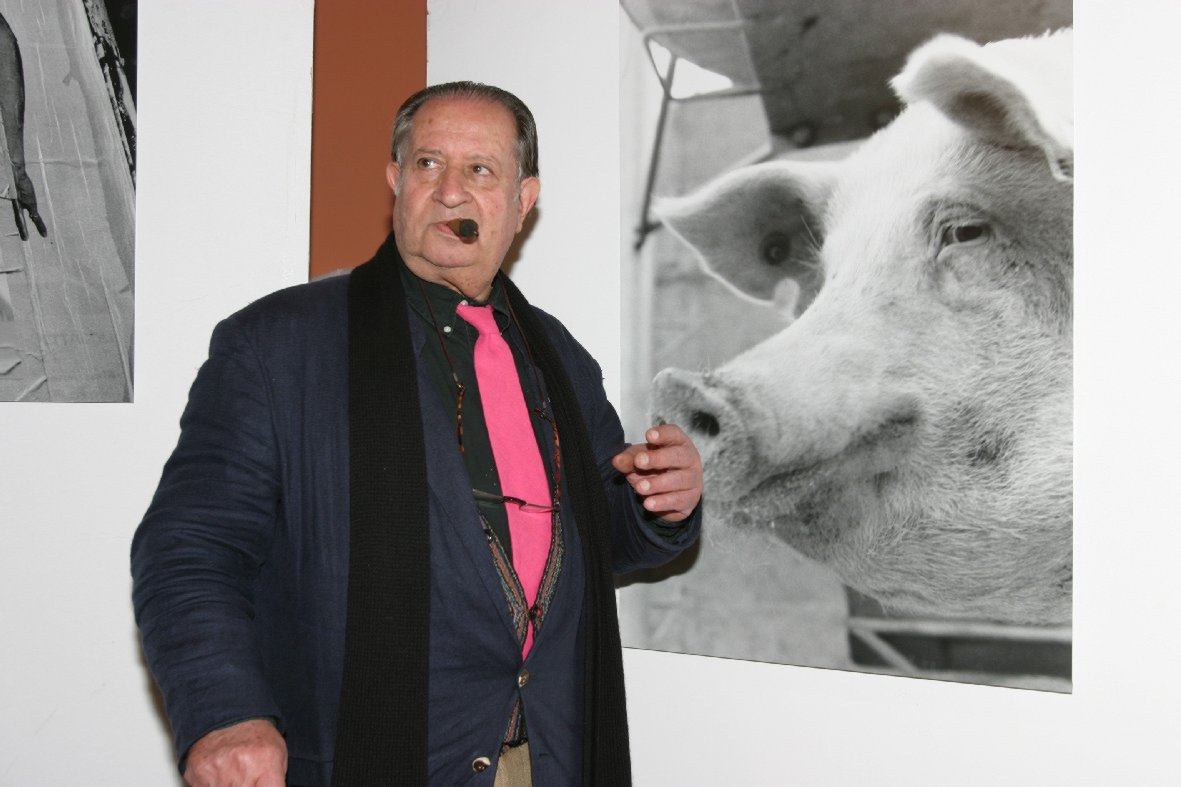 言教授要撞坏了2 却永远不懂年轮如何生长