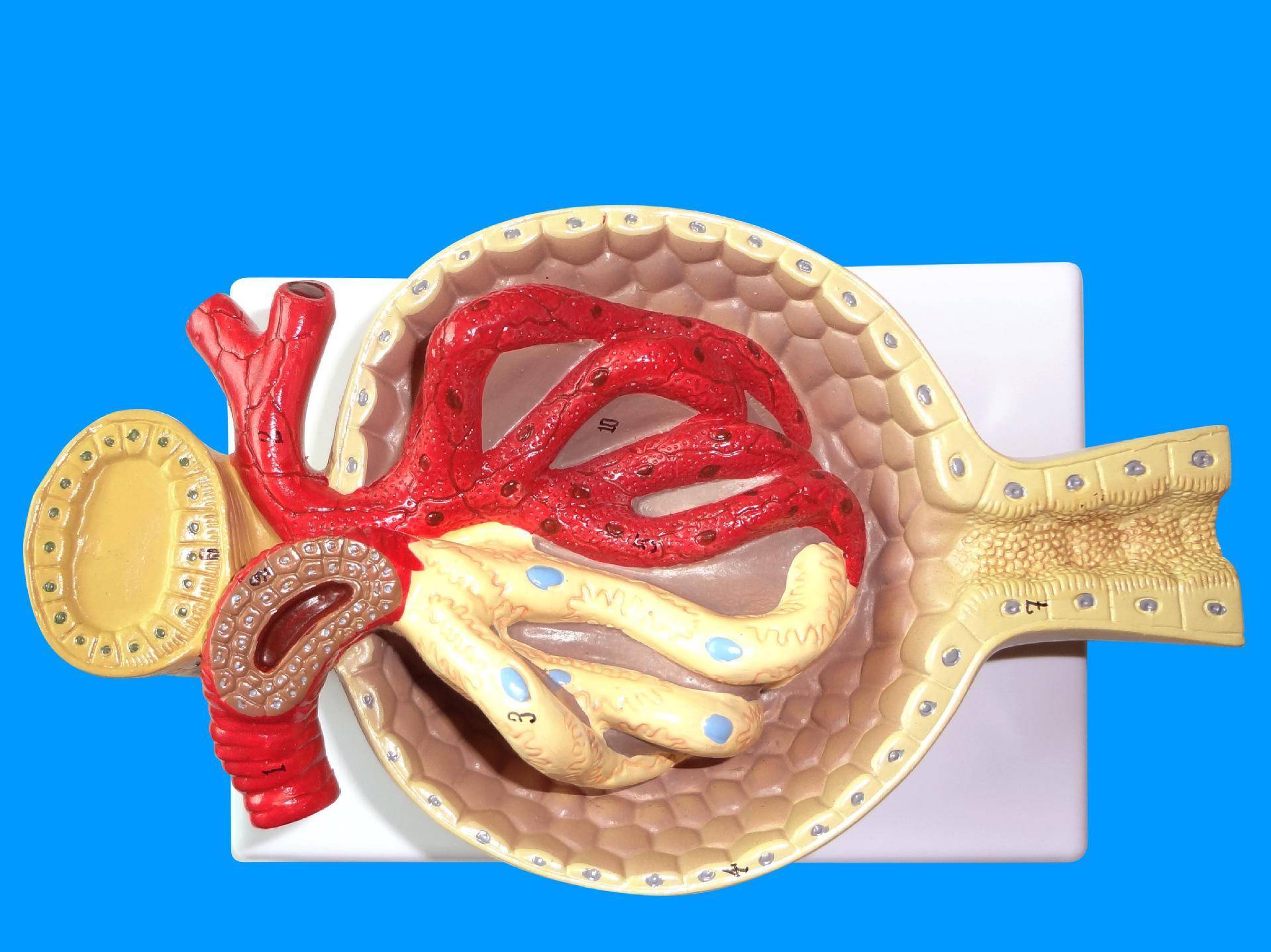 国产精品亚洲av三区麻豆 精品亚洲av三区则是亚洲分类