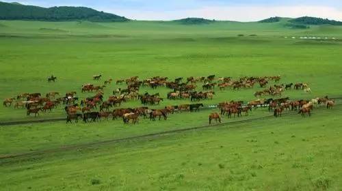 潘甜甜复出开直播 内容专业性稍显不足